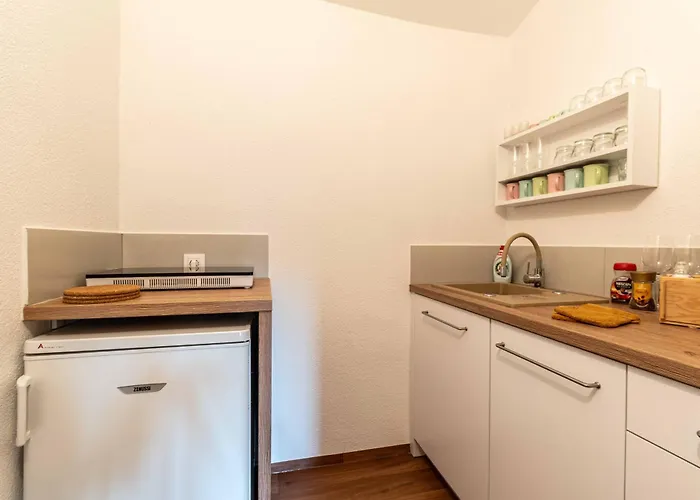 U Macky S Balkonom Vysoke Tatry Apartment *